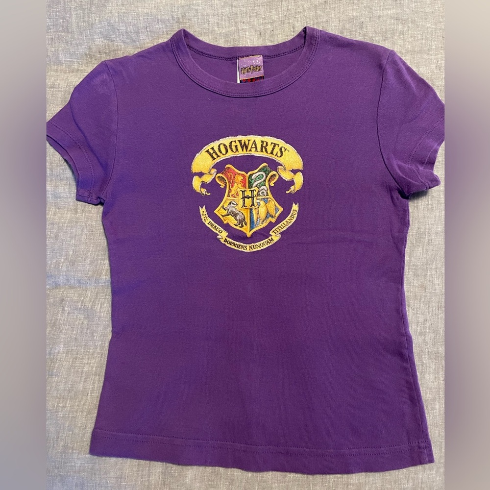 Vintage Warner Bros. 2000 Harry Potter Purple Hogwarts T-Shirt size small RARE!